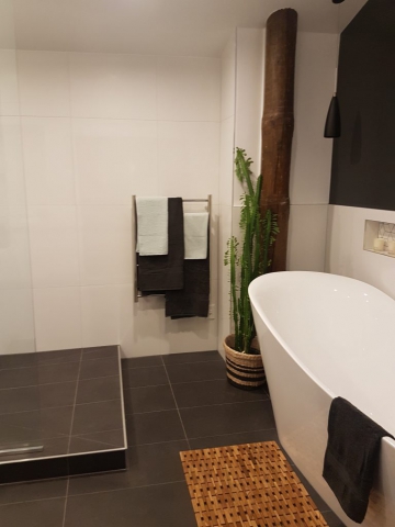 Focal of the upstairs bathroom from the ranch sliding doors at Dudley Ave