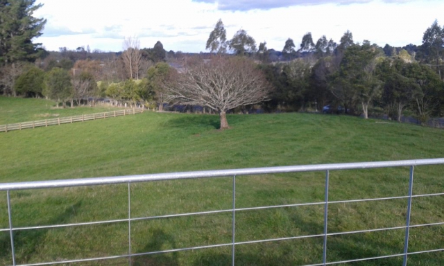 Driver Rd beginning of new build Focal Driver rd new build project what the land used to look like